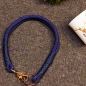 Preview: Halsband Bello - für Hunde